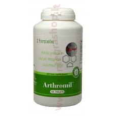 Arthromil™ Santegra N120 maisto papildas